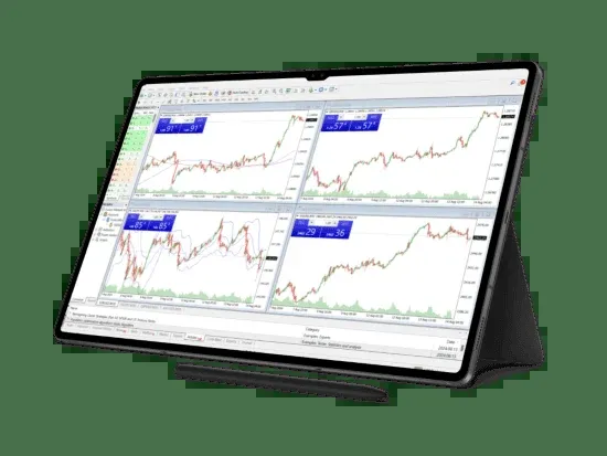 MetaTrader 4 account access and account type overview